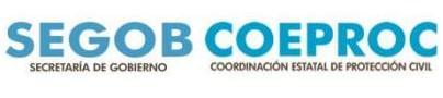 logo Coordinacion Estatal de Protección Civil
